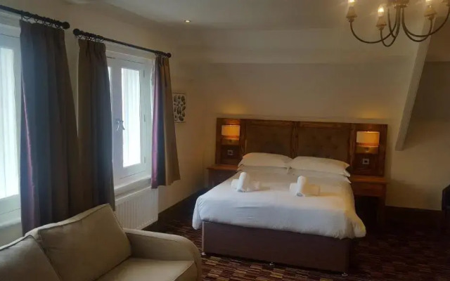 The Dolphin