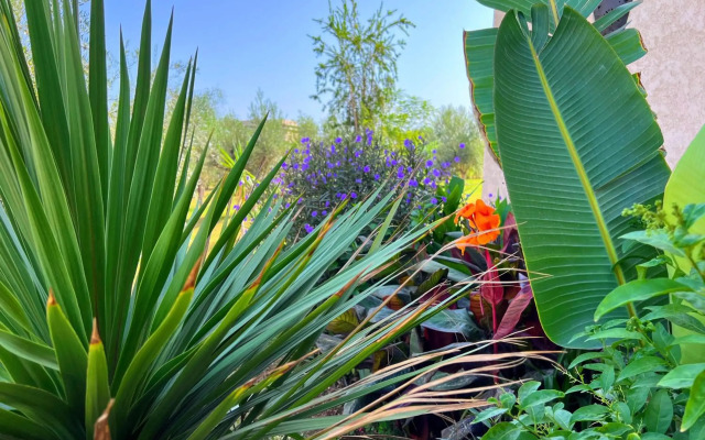 Le Jasmin De Marrakech