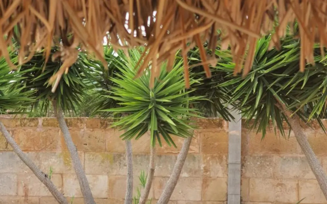 Eco Finca Sa Font Blava