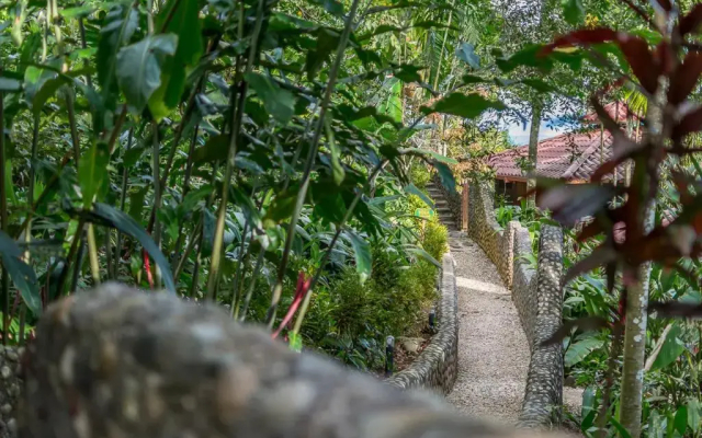 La Cusinga Lodge - фото 4