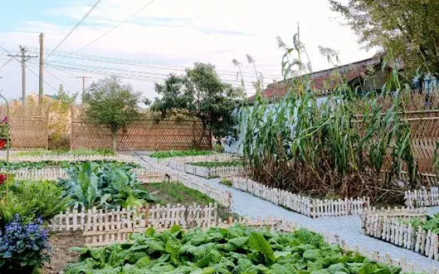 Shanghai First Heart Encounter Homestay