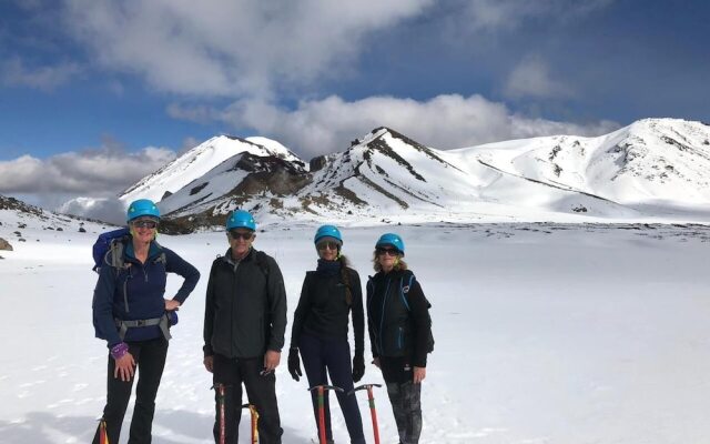 Alpine Chalets