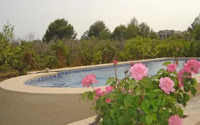 Apartment with pool, quiet in Alicante