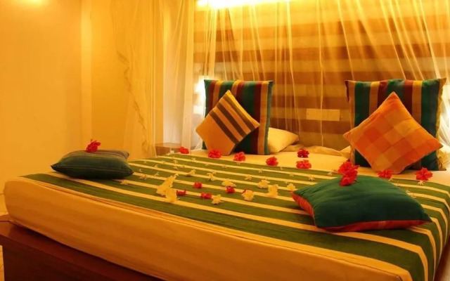 Primrose Guest house