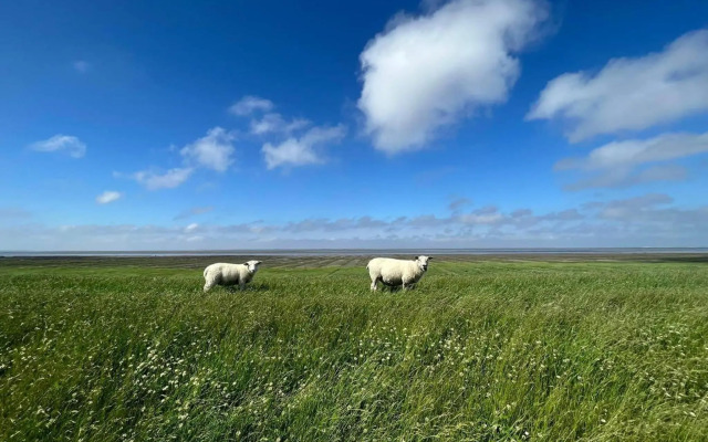 Pension Blaue Nordseewelle