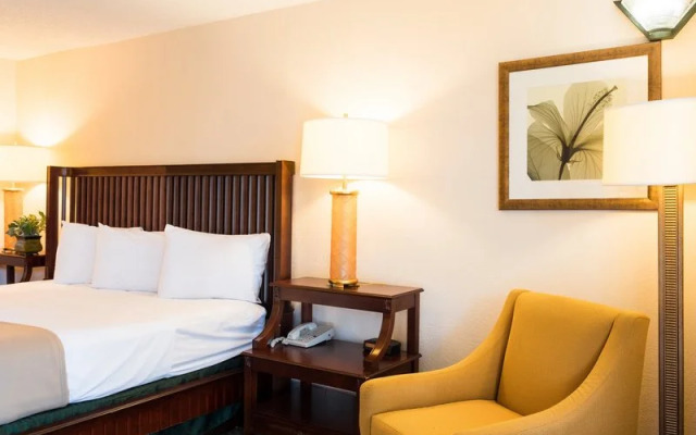 Vista Inn & Suites Tampa