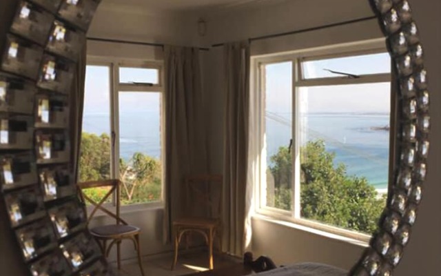 Watching Waves Heron Chase