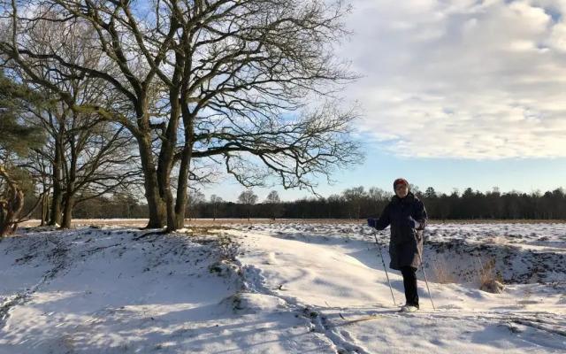 Bed & Breakfast Ter Borg