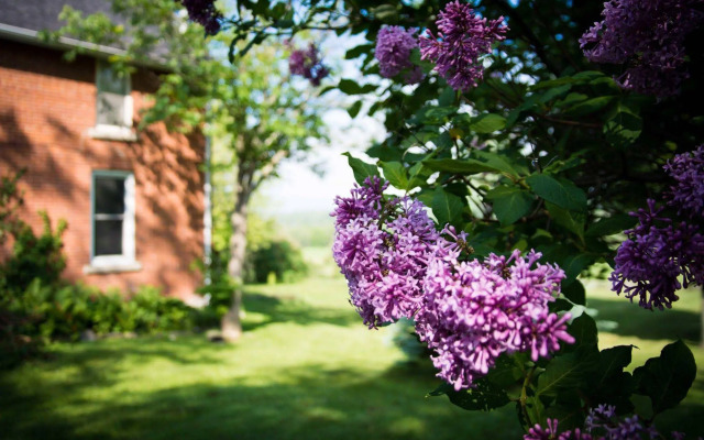 Laura's Bed & Breakfast