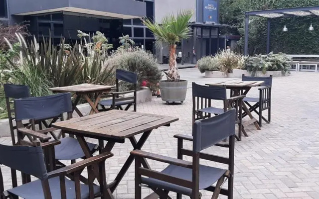 Raices Aconcagua Mendoza