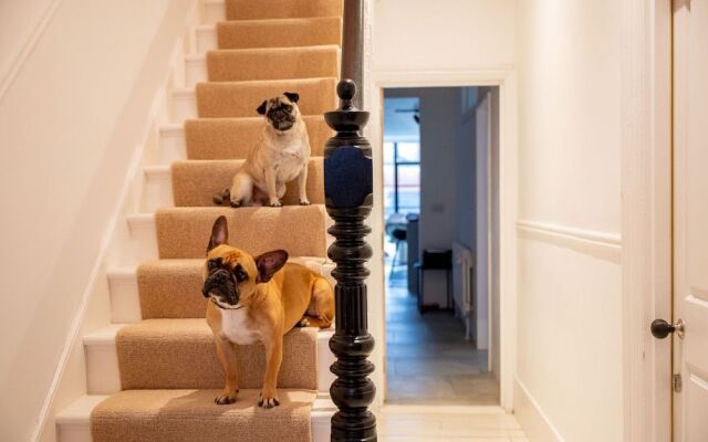Doghouse Margate