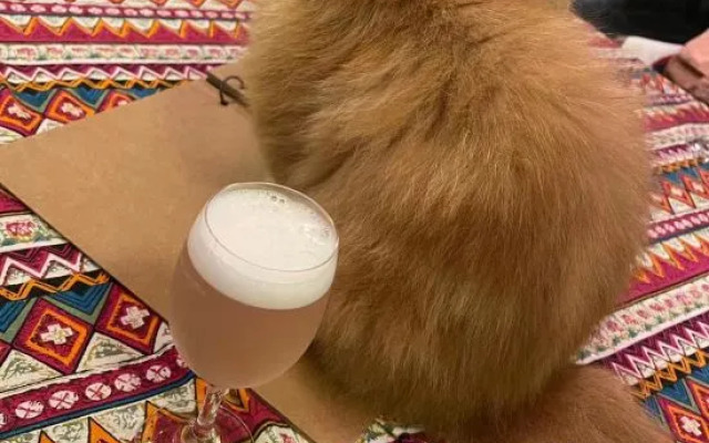 September Huizhou Inn