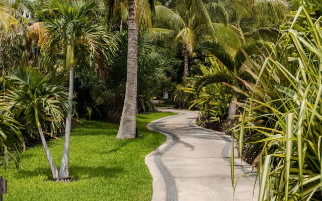 Soul Spring Sanctuary Cuernavaca