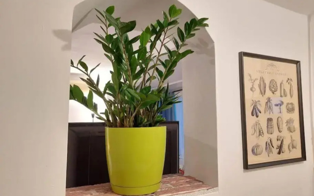 Sweet Dreams Suites Cismigiu Studio