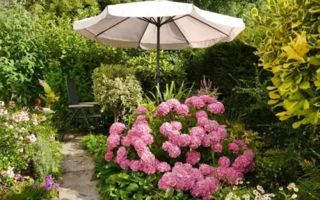 bed and breakfast de hamsche kuul