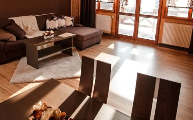 Villa in Moravia With Infrared Sauna