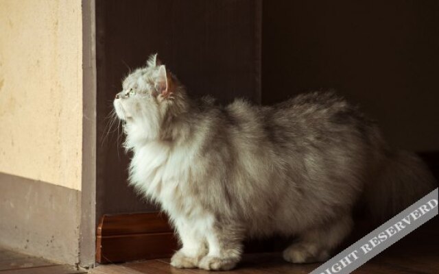 Undo Meditation Resort