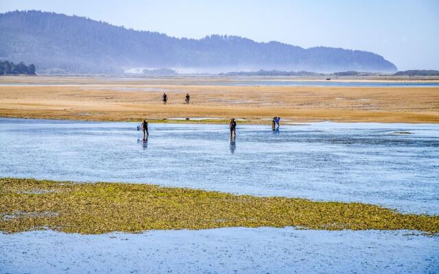 Rest Ashore