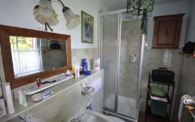 Red-throated Diver Modern Retreat