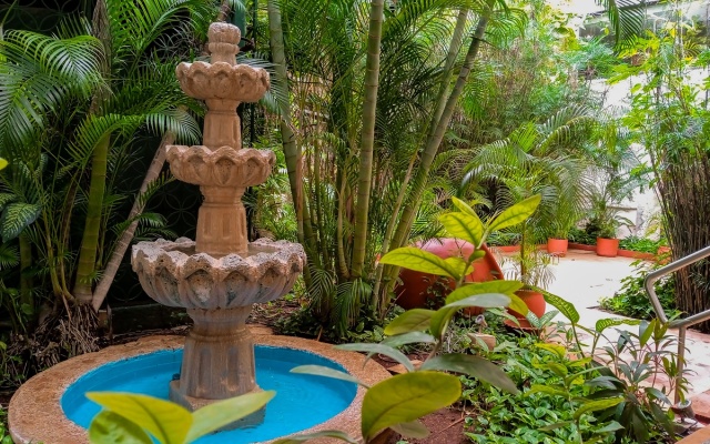 Hotel Los Aluxes