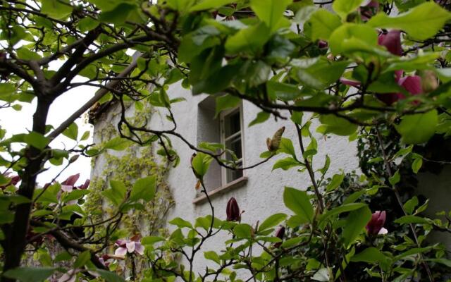 Kapuzinerberg Apartments