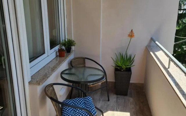 M & M Apartment