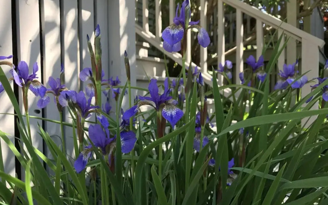 Dragonfly Guest House