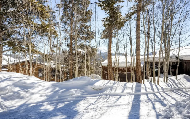 Tyra Summit Townhome #955