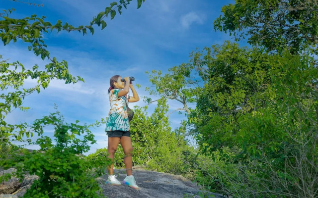 Leopard Nest - Glamping in Yala