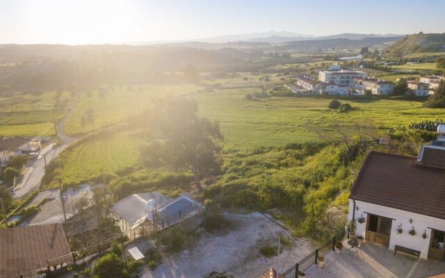 Samareitidos Light Studio - Green