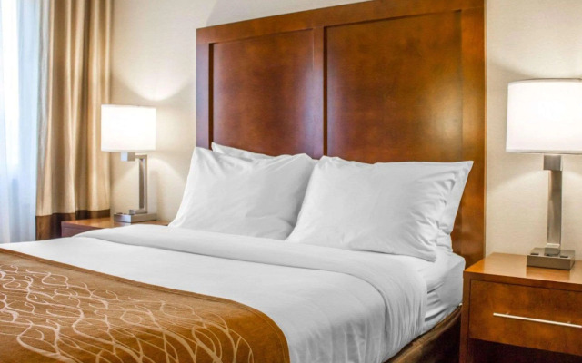 Comfort Inn Syosset-Long Island
