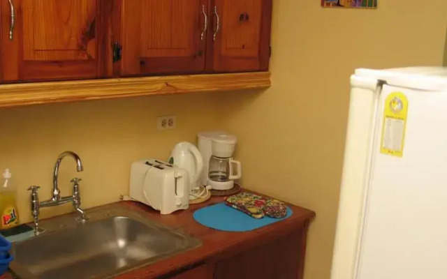 Chrisanns Beach Resort Apt 21
