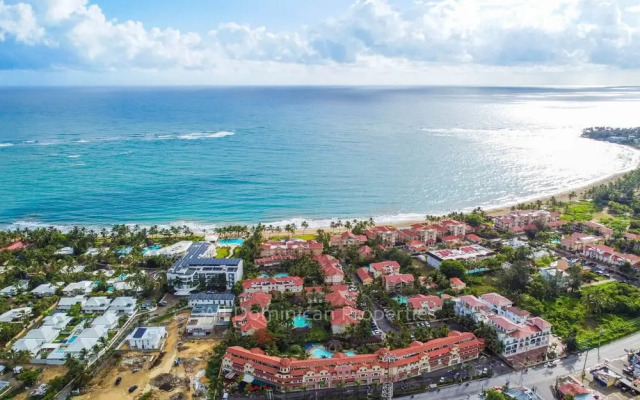 Garden Studio, Ocean Dream