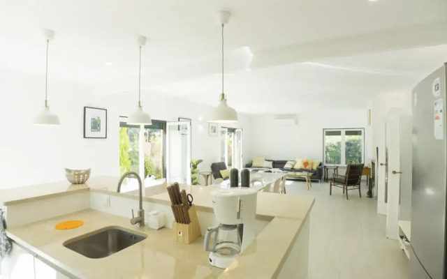 Lvpremier LA1 Heated Pool Jacuzzi AC Garden