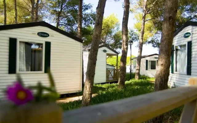 Las Palmeras Camping & Bungalow
