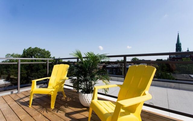 Spectacular and Modern Little Italy Penthouse