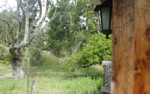 Blackberry Hill Farm