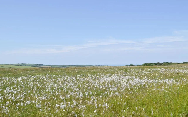 Swallows Retreat