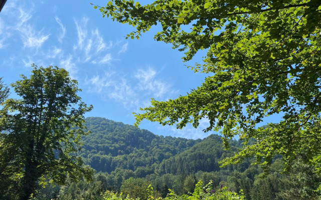 Ferienwohnung Johannsen Haus Elisabeth
