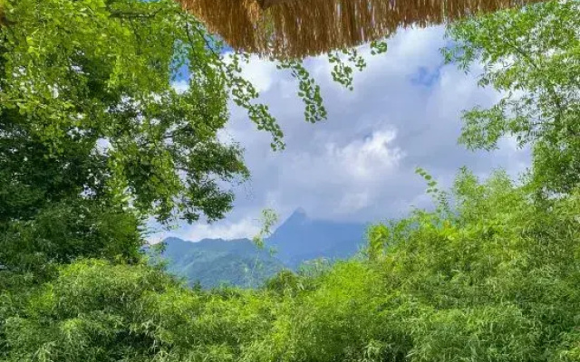 Wudang Chuxing homestay