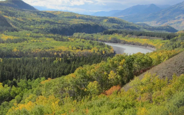 Stikine View Lodge