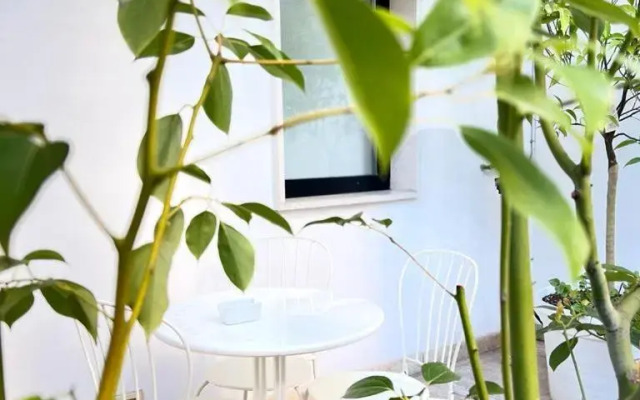 Hotel Imago