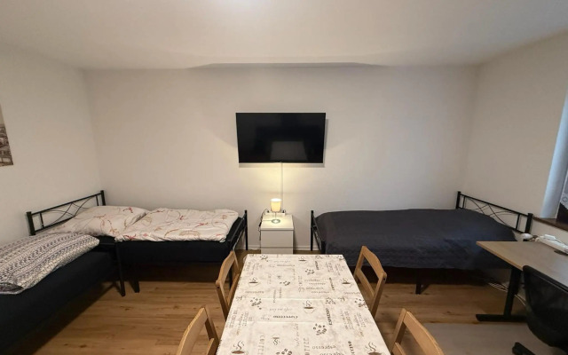 Big, cosy and central apartment