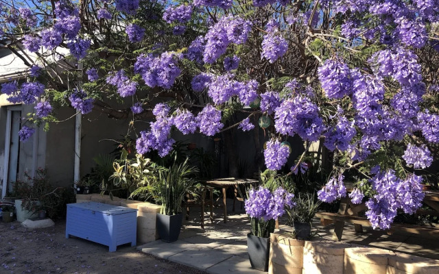 Geraldton Backpackers