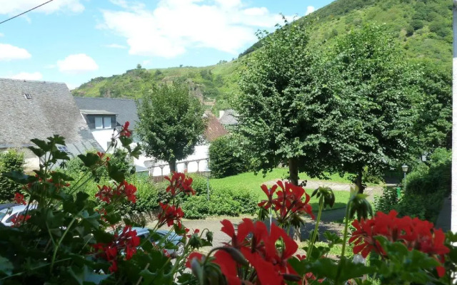 Alte Weinstuben Steinfelder Hof