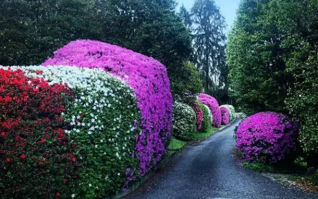 La mia casa sul lago con vista mozzafiato