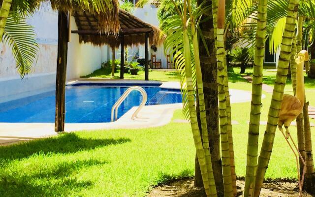 Gorgeous 11 People Villa With Pool Playacar Phase 2