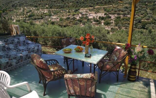 Evli Residence