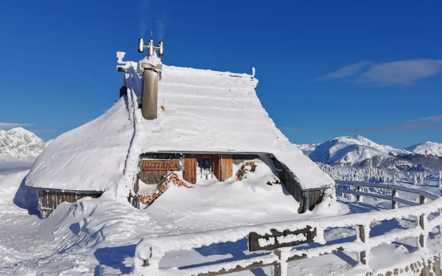 Koca Ojstrica - Velika planina