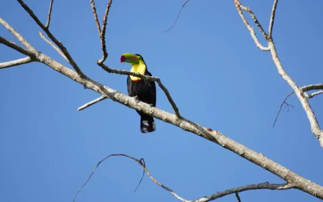 Bluff Hidden Paradise